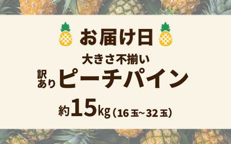 訳あり 不揃い 2024年 先行予約 ピーチパイン 約15kg 16玉～32玉  "いってＱ"でも紹介された 西表島ひらい農園 濃密 パイン 果物 パイナップル フルーツ
