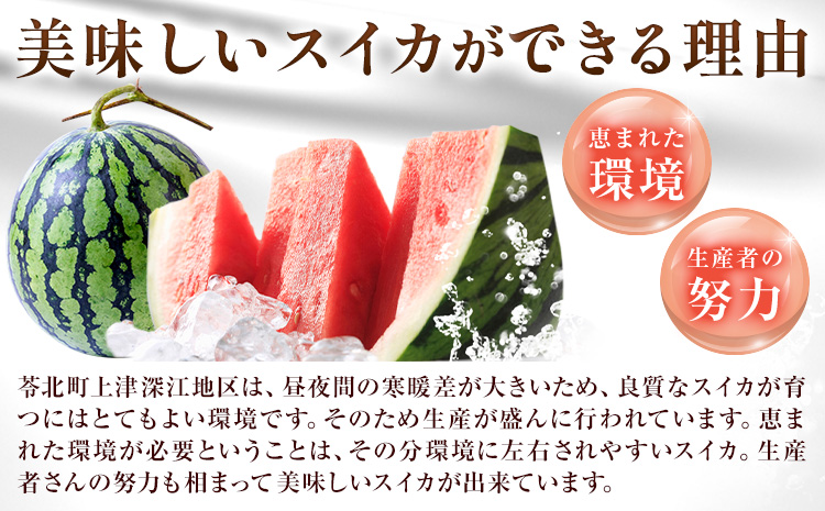 天草産上津深江 スイカ 1玉 髙橋商店 《6月末-8月中旬頃出荷》熊本県 苓北町 フルーツ 果物 くだもの スイカ すいか 西瓜 盆すいか 上津深江スイカ---J06R605-multi---