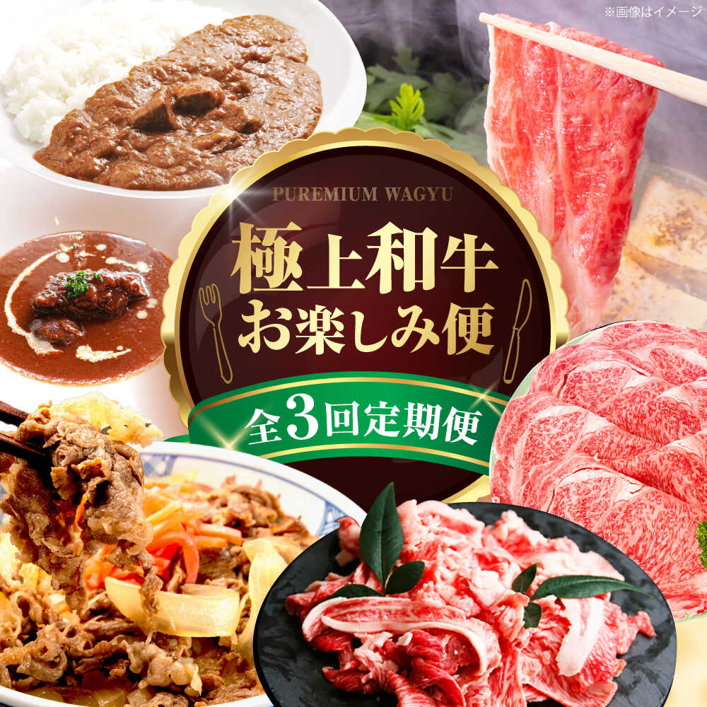 【ふるさと納税】【全3回定期便】ミートモリタ屋 贅沢カレー＆ビーフシチューと和牛のお楽しみ定期便 お肉 肉 切り落とし すき焼き 和牛 牛肉 和牛カレー ビーフシチュー 定期便 食べ比べ 大阪府高槻市/株式会社ミートモリタ屋[AOAI076]