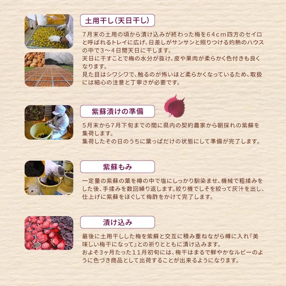 梅干し 無添加 南高梅 小分けタイプ 昔ながらのすっぱい しそ漬け梅干し 500g (100g×5P) 【frsn0031A】