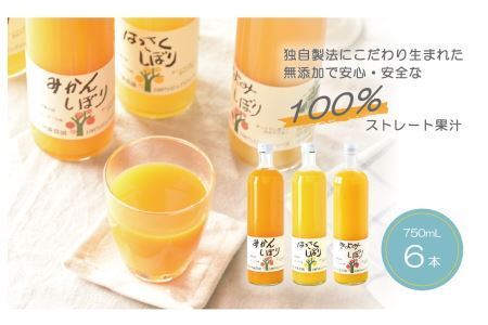 L324　３種の１００％ピュアジュース７５０ｍｌ　６本入り