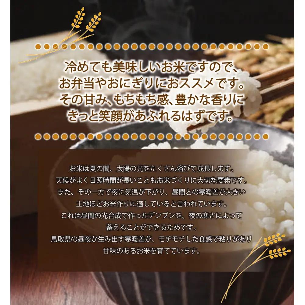 令和7年産 山崎農園こしひかり無洗米 5kg コシヒカリ