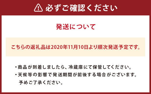 フルーツ人参 A級品 10kg にんじん フルーツ 人参