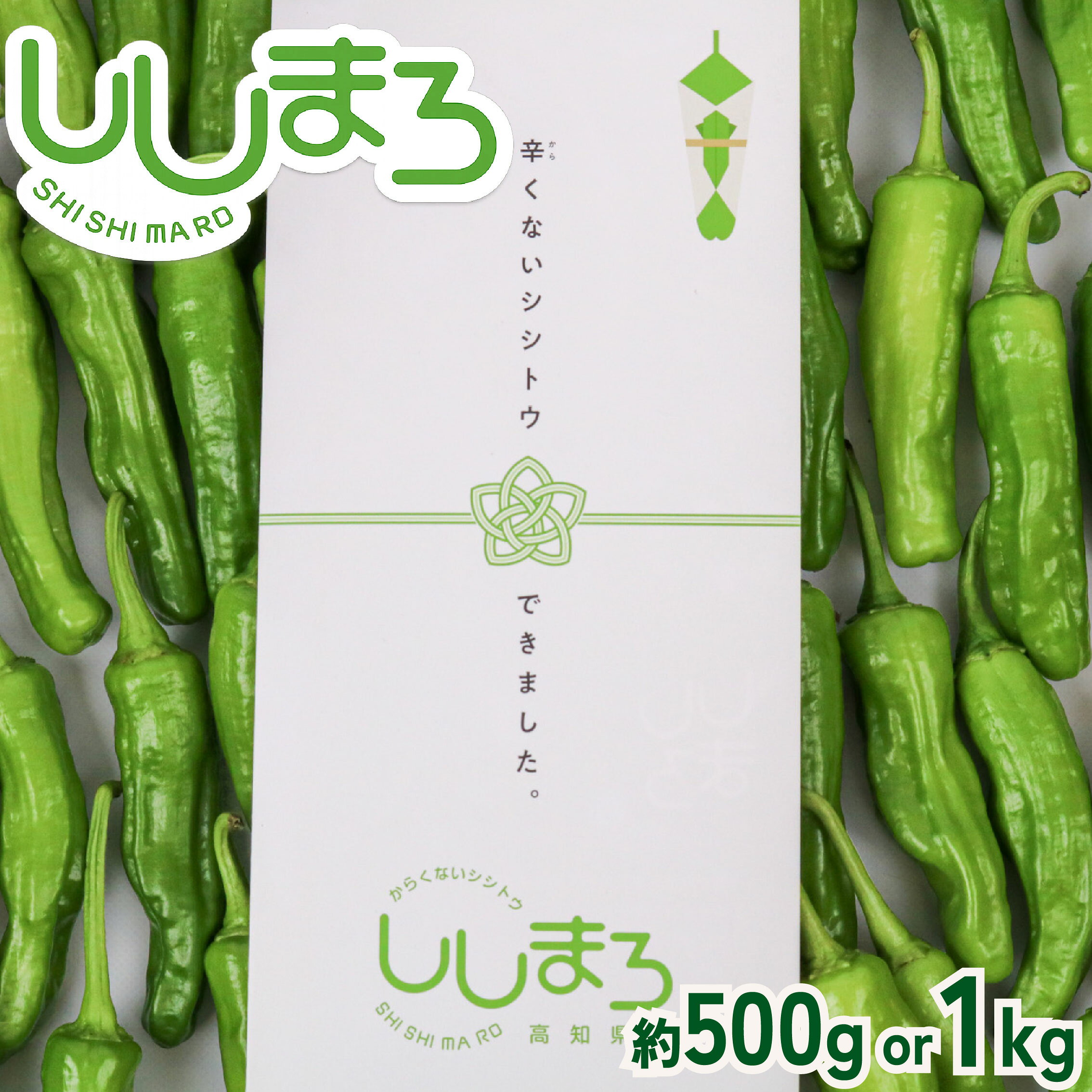【ふるさと納税】 先行予約 ししとう 500g 辛くない シシトウ 新鮮 野菜 ししまろ 獅子唐 やさい 夏野菜 旬野菜 炒め物 野菜炒め 天ぷら バーベキュー BBQ 高知県 南国市
