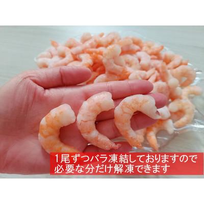 ふるさと納税 小竹町 背ワタなしで使いやすい　天然むき海老(約1kg)(小竹町)