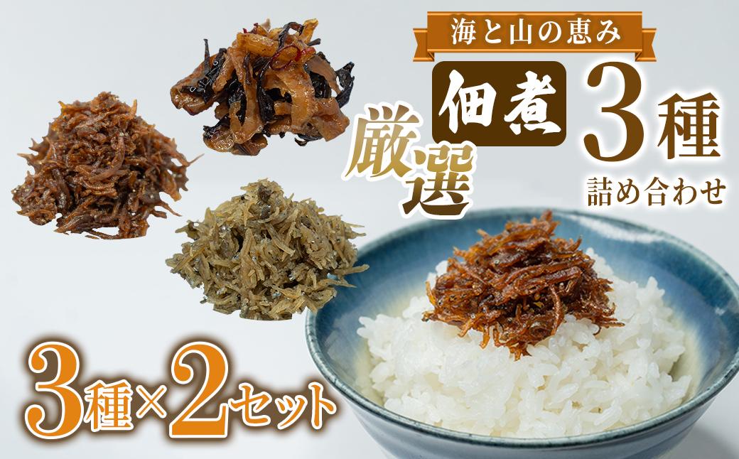 厳選佃煮3種セット 海と山の恵み (計6袋)【国内産シラスのくぎ煮 65g ほたて貝ひもとキクラゲ 80g 生炊きちりめん山椒 90g】各2袋 しらす ほたて 貝ひも キクラゲ ちりめん山椒 ごはんのお供 お酒のおつまみ 小分け