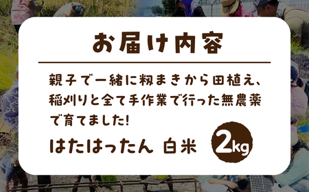 【白米2kg】お米 2kg 白米 お米 米 コメ こめ ご飯