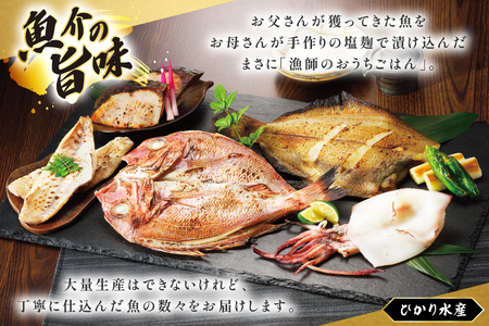 漬け魚 漬魚 塩麹 塩こうじ 魚介 詰め合わせ 6回 定期便 ひかりの塩麹 5種 セット [ひかり 長崎県 平戸市 hr42bgy420393]