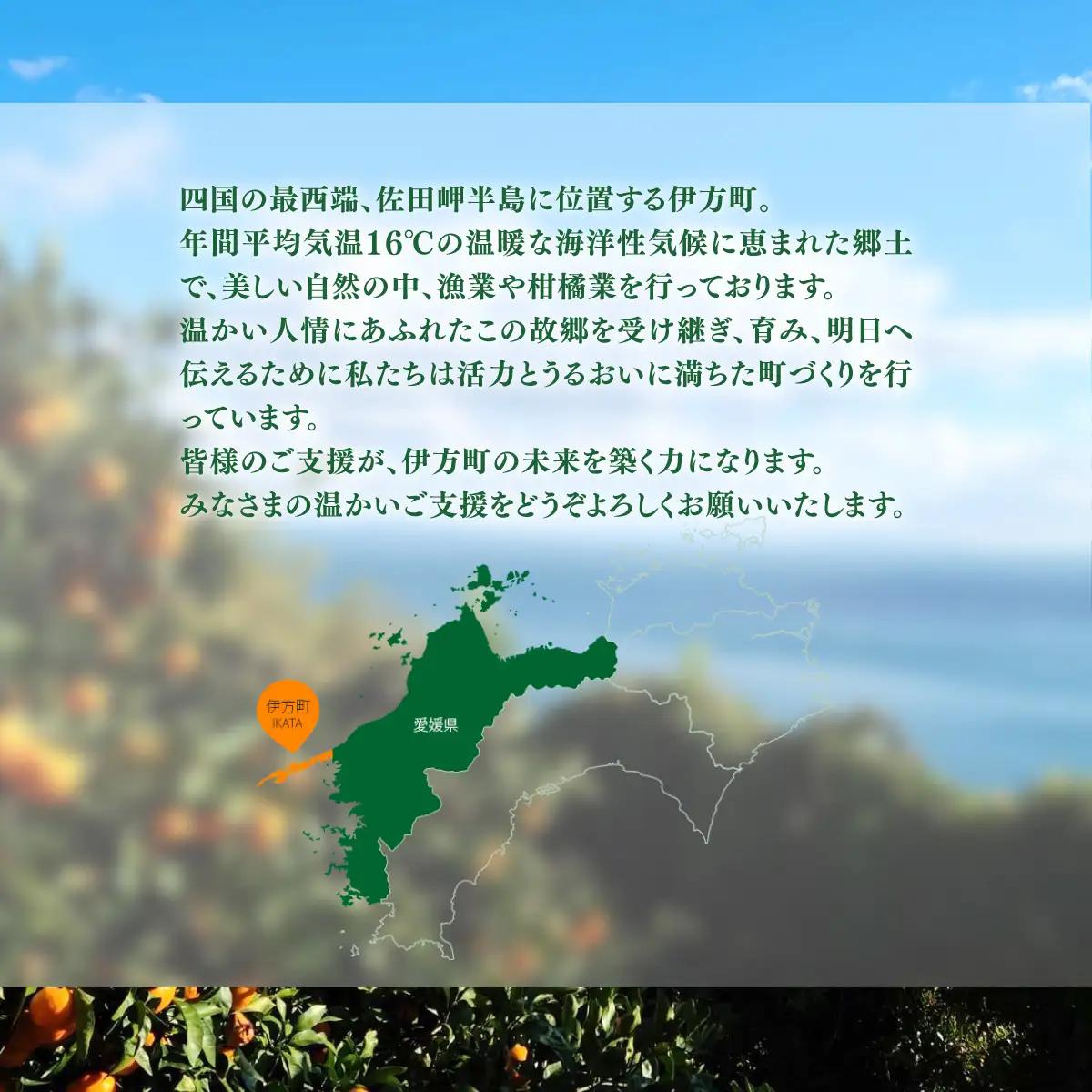 【返礼品なし】愛媛県伊方町・応援寄附300,000円（寄附のみの応援受付 ※返礼品はございません） 【ふるさと納税 人気 おすすめ ランキング 応援寄附 返礼品なし 愛媛県 伊方町 送料無料】 IKT