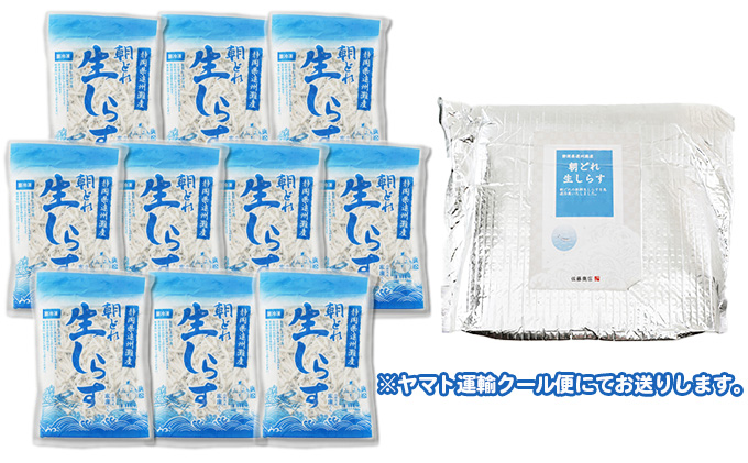 【数量限定】浜松生しらす（冷凍）100g×10パック