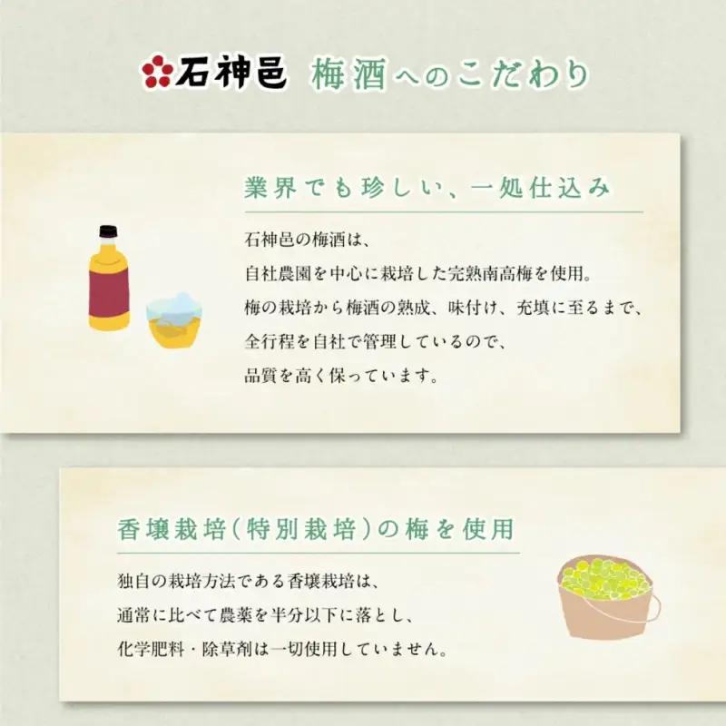 梅酒 5年熟成 720ml 梅干し うめ 完熟梅 南高梅 【isg022】