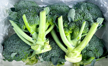 しんや農園の つよい野菜「ブロッコリー＆カリフラワー」