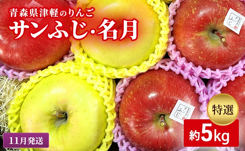 
            【11月下旬発送】【里いちみfarm】青森県津軽のりんご　特選「サンふじ・名月」約5kg
          