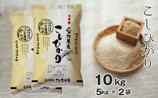 【白米】 令和7年産 つづき農場のコシヒカリ 10kg ／ コシヒカリ 白米 令和7年産 ごはん 炊き立て 甘み ふっくら 米 お取り寄せ 主食 食卓 お弁当 産直米 日本米 送料無料 愛知県 No.091
