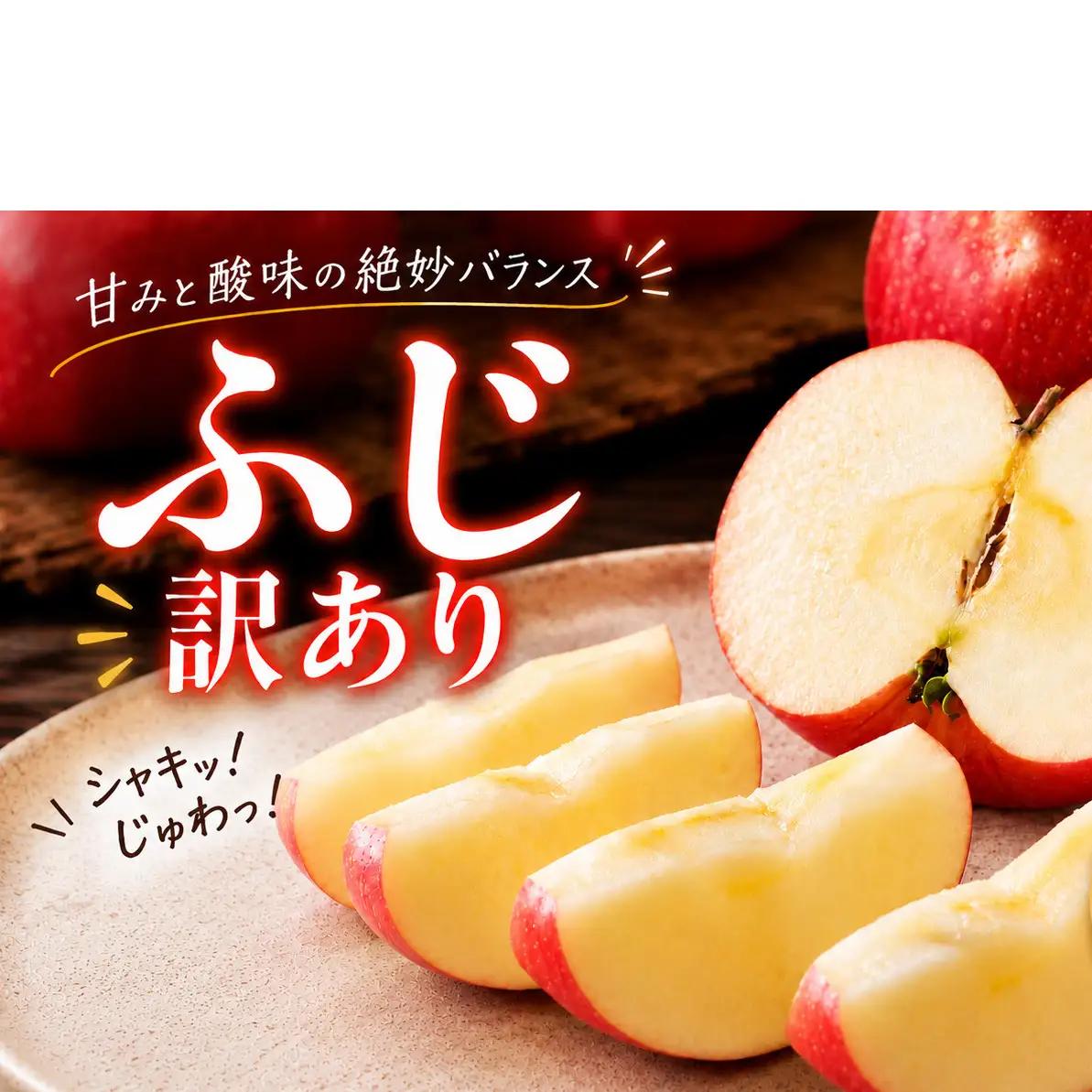 りんご 訳あり 3kg さんふじ りんご