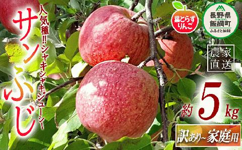 りんご 葉とらず サンふじ 訳あり 5kg 米澤農園 沖縄県配送不可 2024年11月下旬～12月下旬まで順次発送 令和6年度収穫分 傷 不揃い リンゴ 予約 農家直送 長野県 飯綱町 [0901]