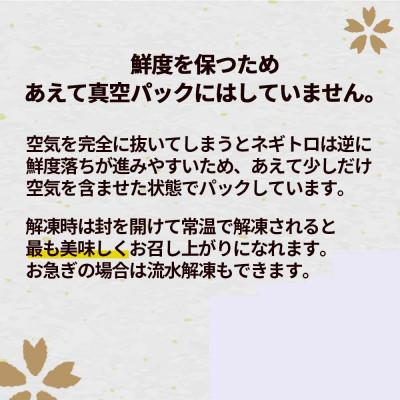 ふるさと納税 須崎市 手作りネギトロ　500g |  | 03