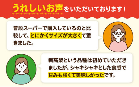 【先行予約】【10月上旬から順次発送】「梨の王様」特大新高 梨2kg（4個から6個入り） 愛媛県大洲市/幸野観光なし園 なし ナシ 梨 [AGBD001] なし ナシ 梨