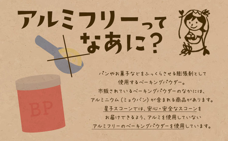 星子 スコーン 詰め合わせ 3種 9個