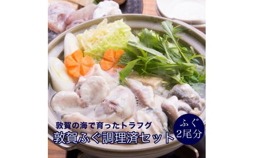 敦賀ふぐ 調理済セット 2尾分（約1200g）てっちりやしゃぶしゃぶなどに【ふぐ フグ 河豚 刺身 ふぐ刺 薄造り しゃぶしゃぶ てっちり 鍋 唐揚げ お中元 お歳暮 ギフト 贈り物 プレゼント】[041-b001]