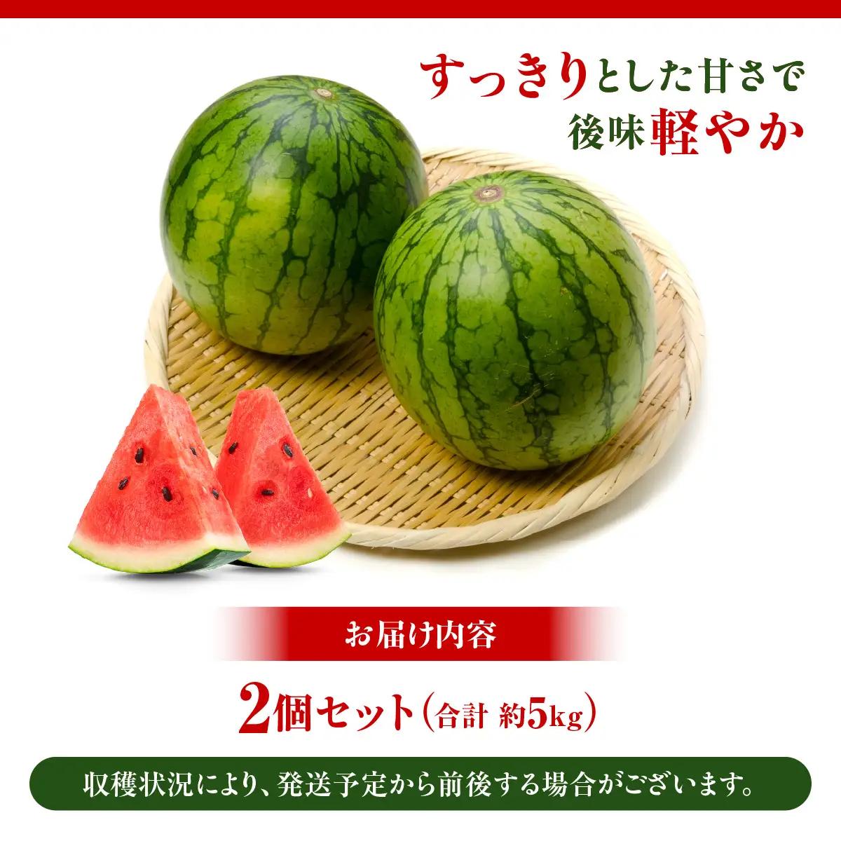【先行予約・2027年6月上旬～発送】千葉県山武市産 船木さんちの小玉スイカ２個セット（合計約５㎏）  SMDD001