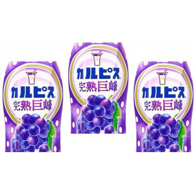 ふるさと納税 館林市 「カルピス(R) 完熟巨峰」プラスチックボトル 470ml×12本 |  | 01