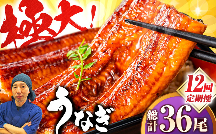 
            【全12回定期便】中国産 特大うなぎ蒲焼 計660g（220g×3尾）吉野ヶ里町/株式会社フジマキ うなぎ ウナギ 蒲焼 [FDM013]
          