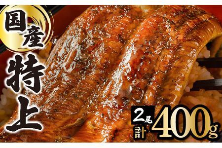 【R7年7/19～7/30にお届け】【7/31丑の日用】『国産』うなぎ蒲焼 2尾 計400g【全国配送】C-626【老舗うなぎ専門店で使用される厳選した国産うなぎ 冷凍でお届け！】