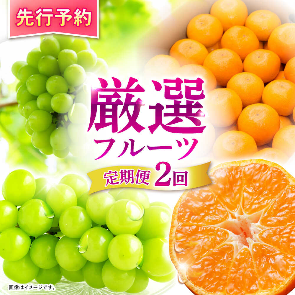 【ふるさと納税】【2回定期便】※【2026年シーズン発送／先行予約】フルーツ定期便 シャインマスカット 約1.3kg(2〜3房) / 温州みかん(10kg) 家庭用 / フルーツ フルーツ定期便 果物定期便 シャインマスカット みかん / 諫早市 / 肥前グローカル株式会社[AHDI012]