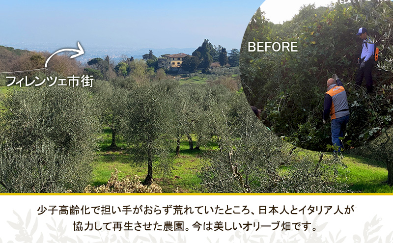 【五つ星ホテル指名買い】 トスカーナ産 エキストラ バージン オリーブオイル (183.2g×1本)【2025年12月発送】 調味料 油 オリーブ油 食用油 静岡県 袋井市