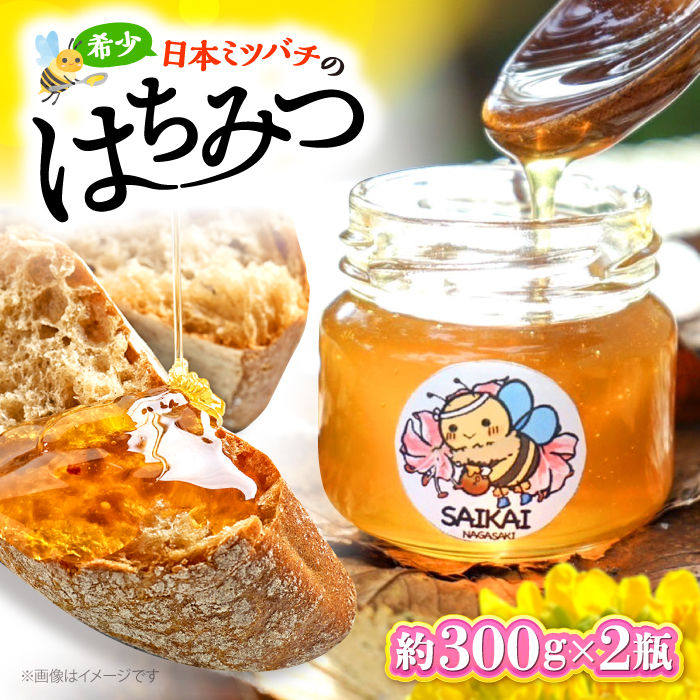 【希少な日本ミツバチ】　 国産 蜂蜜 約600g（約300g×2瓶） ～西海からの贈り物～＜おばま養蜂農園＞ [CFY002]