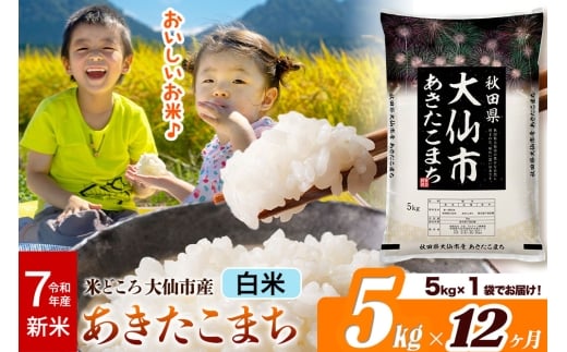新米 令和7年産《定期便12ヶ月》米【白米】米どころ秋田県大仙市産 あきたこまち 精米5kg（5kg×1袋）