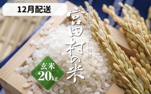 【予約受付】【令和７年米】【新米】長野県産　減農薬栽培(栽培期間中)コシヒカリ／玄米／20kg・40,000円／12月配送