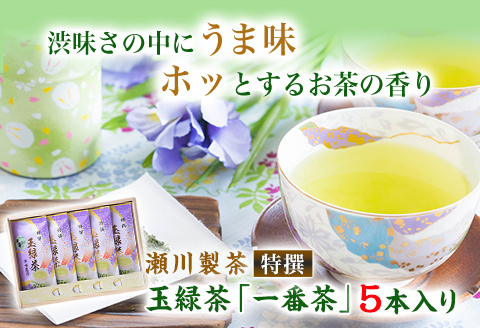 ＜特撰＞玉緑茶(たまりょくちゃ)「一番茶」 100g×5本  大津町産  瀬川製茶《60日以内に出荷予定(土日祝除く)》---so_sgwtokutam_60d_20_20000_500g---