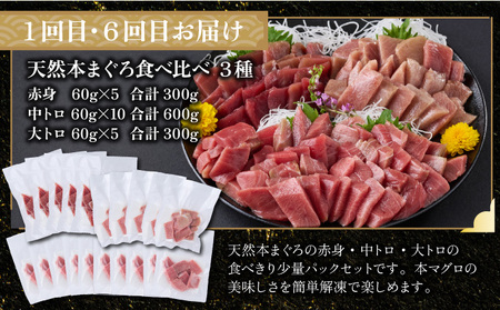 贅沢定期便【タカ】全10回≪タカシン水産厳選 高知の海鮮セット≫ 海鮮 福袋 天然マグロ ねぎとろ丼 まぐろ マグロ まぐろたたき まぐろのたたき 海鮮 魚介 魚 小分け 冷凍 個装 便利 簡単 お手