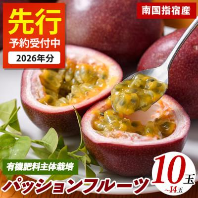 ふるさと納税 指宿市 【2026年 発送】パッションフルーツ10玉〜14玉(010-2058)