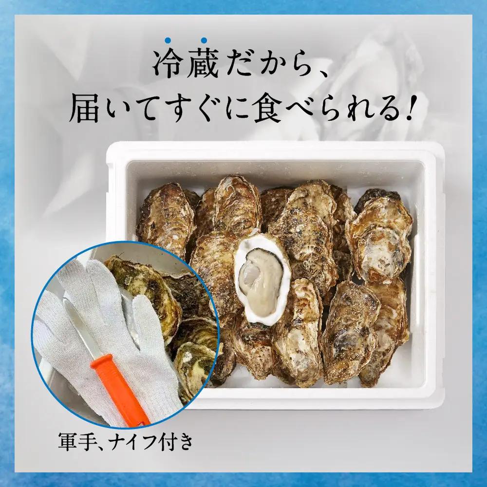 【先行予約】 訳あり 牡蠣 殻付き牡蠣 約3kg 【 三陸産 旬 産地直送 】