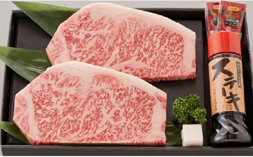 【運用開始記念！】熟成宮崎牛A5等級サーロインステーキセット 500g オリジナルソース付き（牛肉 お肉 ブランド牛 黒毛和牛 ステーキ サーロイン）