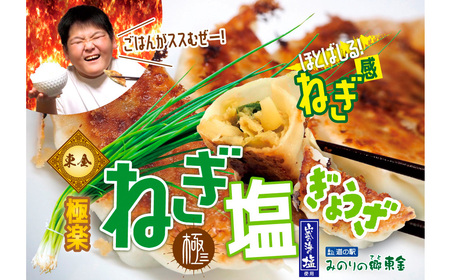 東金極楽ねぎ塩ぎょうざ3袋セット　20個入×3 ／ 餃子 ギョウザ 中華 ネギ塩 にんにく おつまみ 手軽なおかず 夕飯 昼食 レストランの味 東金市 千葉県