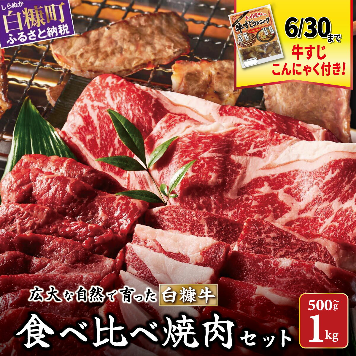 【ふるさと納税】 ＼〜6/30限定おまけ付き／北海道産 牛肉 500g / 1kg ふるさと納税 焼肉 ふるさと 焼き肉 焼肉 焼肉セット 訳あり 不揃い バラ モモ 大判ロース 小分け 便利 3種 セット 食べ比べ 人気 ランキング おすすめ 家庭用 贈答用 ギフト 白糠牛 北海道 白糠町 白糠
