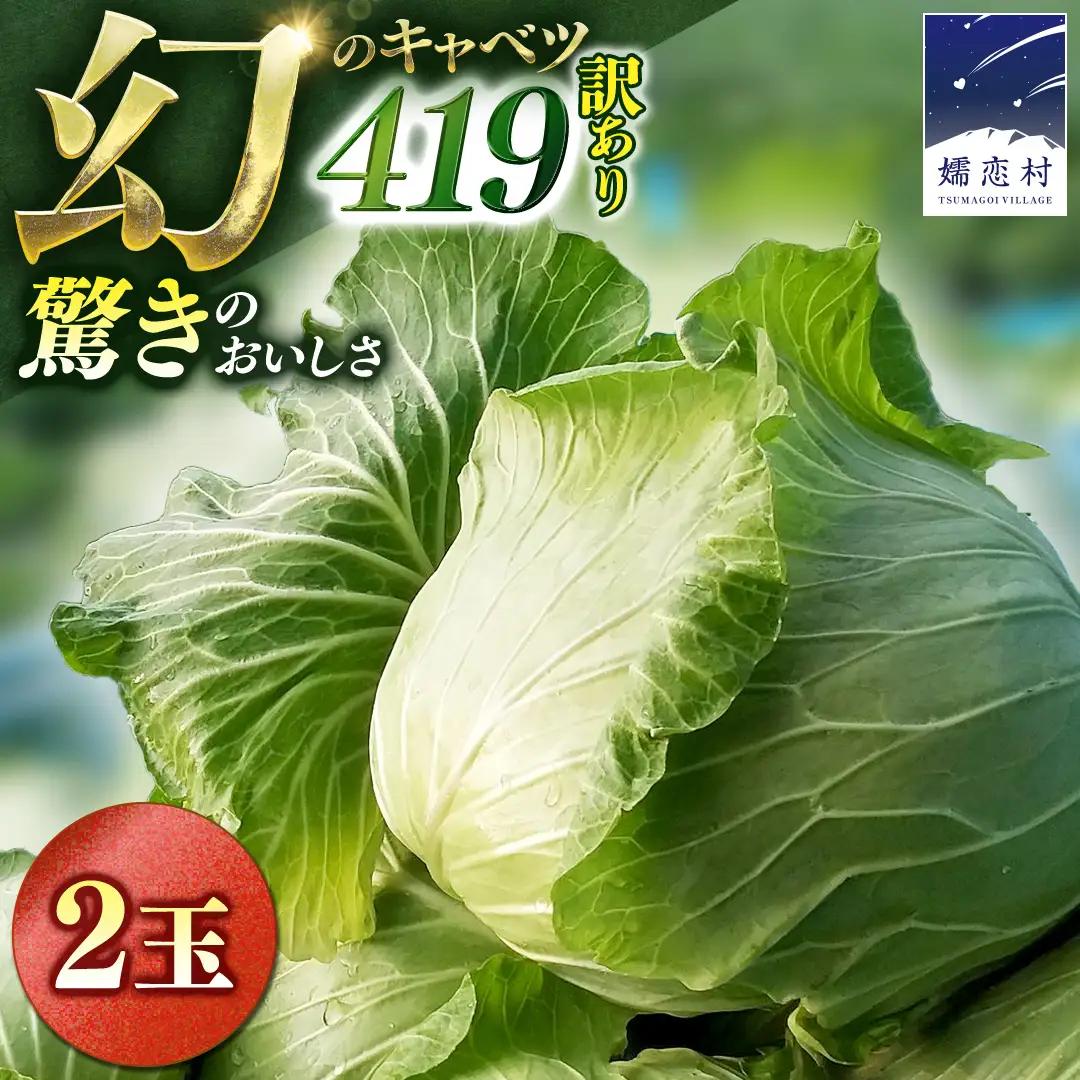 【7月中旬発送開始】 訳あり まぼろしの419キャベツ 2玉 きゃべつ 嬬恋村産キャベツ 羽生田売店 幻のキャベツ419 産地直送 期間限定 人気 朝採り 通販 お取り寄せ 関東 群馬 出荷時期限定 先行予約 [AL014tu] 