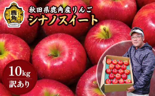 《先行予約》訳あり 鹿角りんご シナノスイート 家庭用 10kg 【山麓園】食感 果汁 リンゴ 完熟 旬 県産 りんご お中元 お歳暮 贈り物 グルメ ギフト 故郷 秋田 あきた 鹿角市 鹿角 送料無料 ●2024年10月下旬発送開始