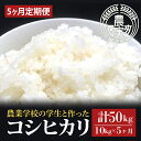 【ふるさと納税】【5ヶ月定期便】【令和6年産】学生と作ったコシヒカリ計50kg（10kg×5回）【お米 米 コメ ごはん 10万円以内 50キロ 茨城県 水戸市 水戸】（DN-24）