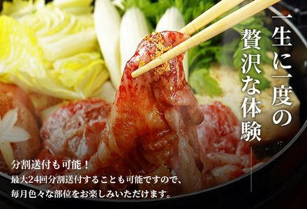 【和牛セレブ】近江牛1頭分買い（24分割配送）