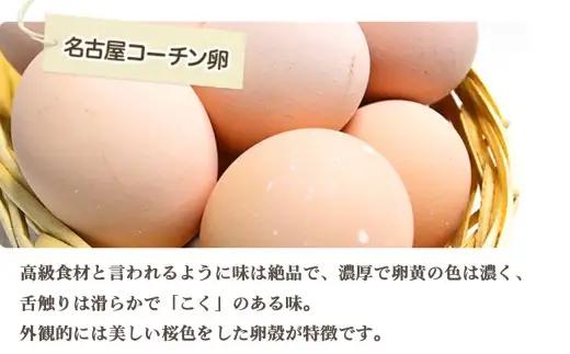 日本を代表する地鶏　名古屋コーチン卵　40個入 ｜ブランド卵 新鮮 阿久比町