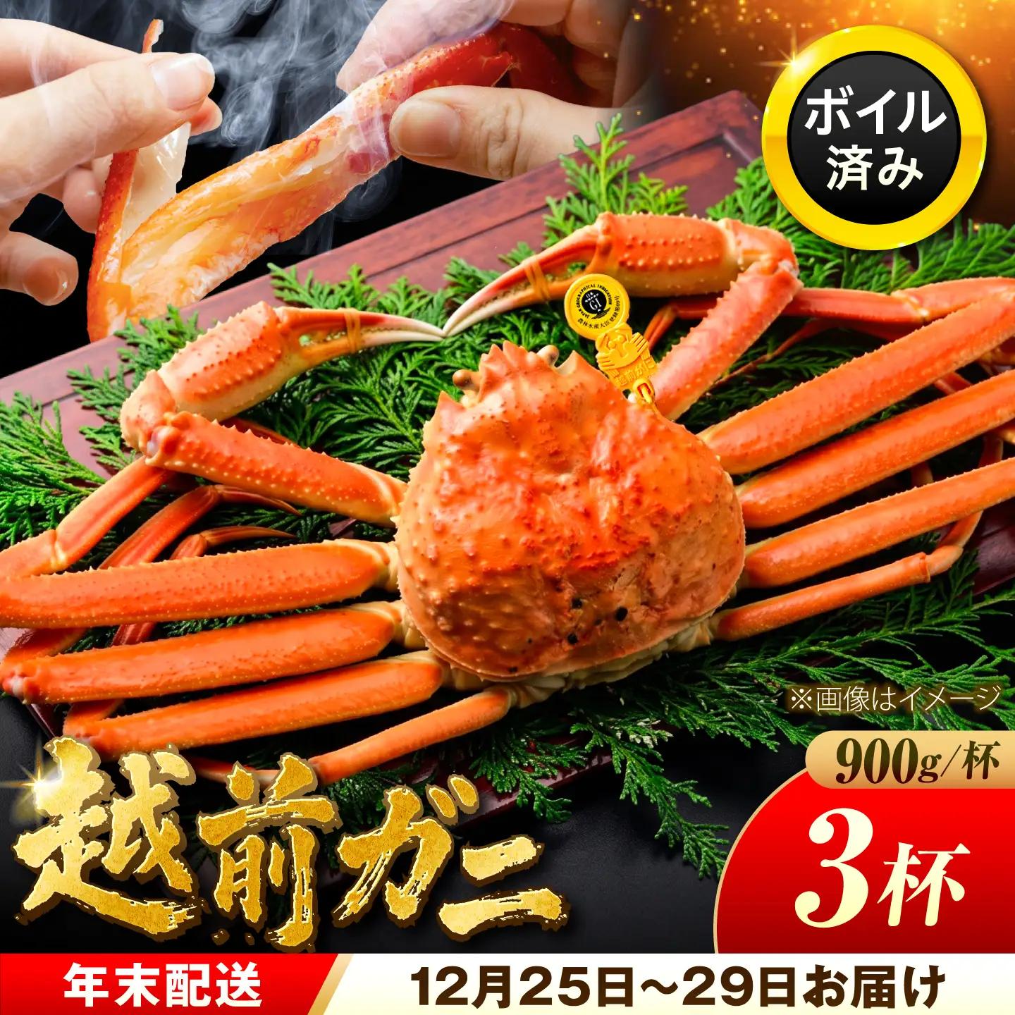 【年末配送】越前がに 900ｇ×3ハイ ズワイガニ 【先行予約/12月25日より順次発送】【配送不可地域：北海道・沖縄・離島】[BFCS044]