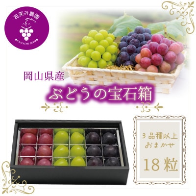 岡山　花笑み農園『ブドウの宝石箱』3種以上(18粒入り)　3M-宝18【9月中旬～発送】【配送不可地域：離島】
