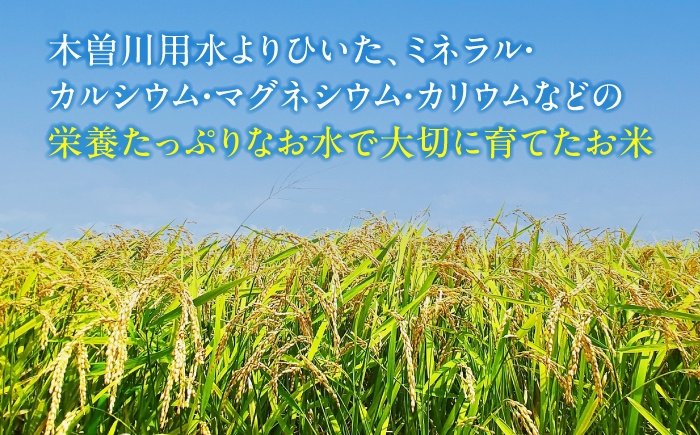 米 お米 5kg 5キロ 白米 精米 愛知県産 国産 米 あいちのかおり