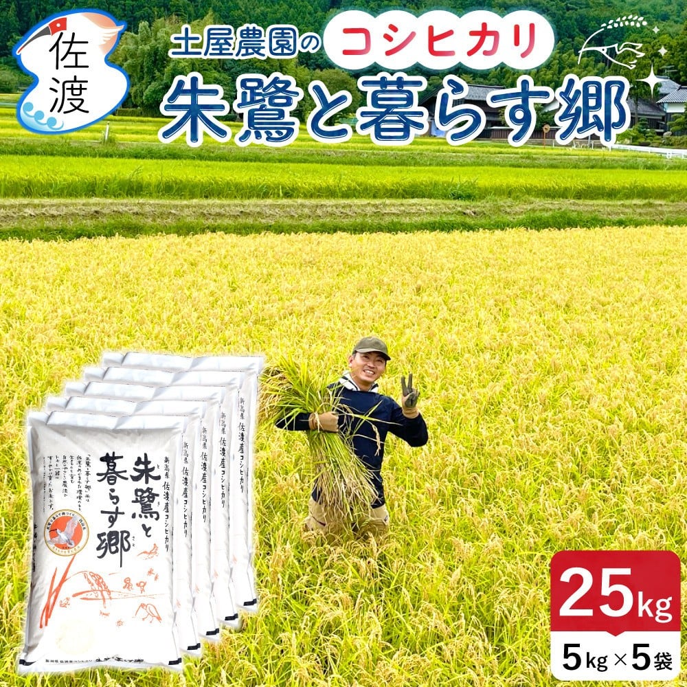 
                  佐渡島産コシヒカリ「朱鷺と暮らす郷」白米25kg(5kg×5袋) 土屋農園 令和7年産 特別栽培米
                
