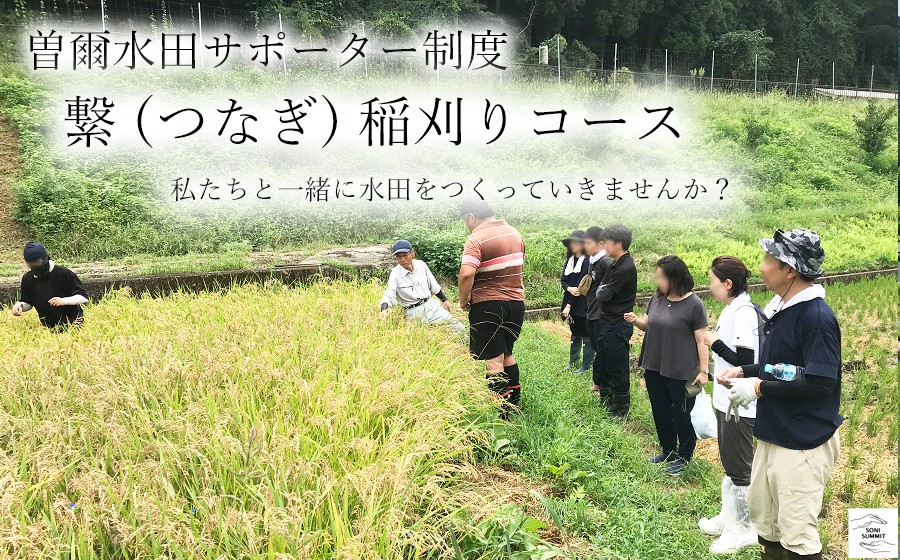 
                  曽爾 水田サポーター制度 繋（つなぎ）稲刈りコース ​( 2026年度お申込み用 ) // 田んぼオーナー お米オーナー 景観保護 米作り 水田作業 稲刈り 交流会 玄米3kg 体験 経験 
                